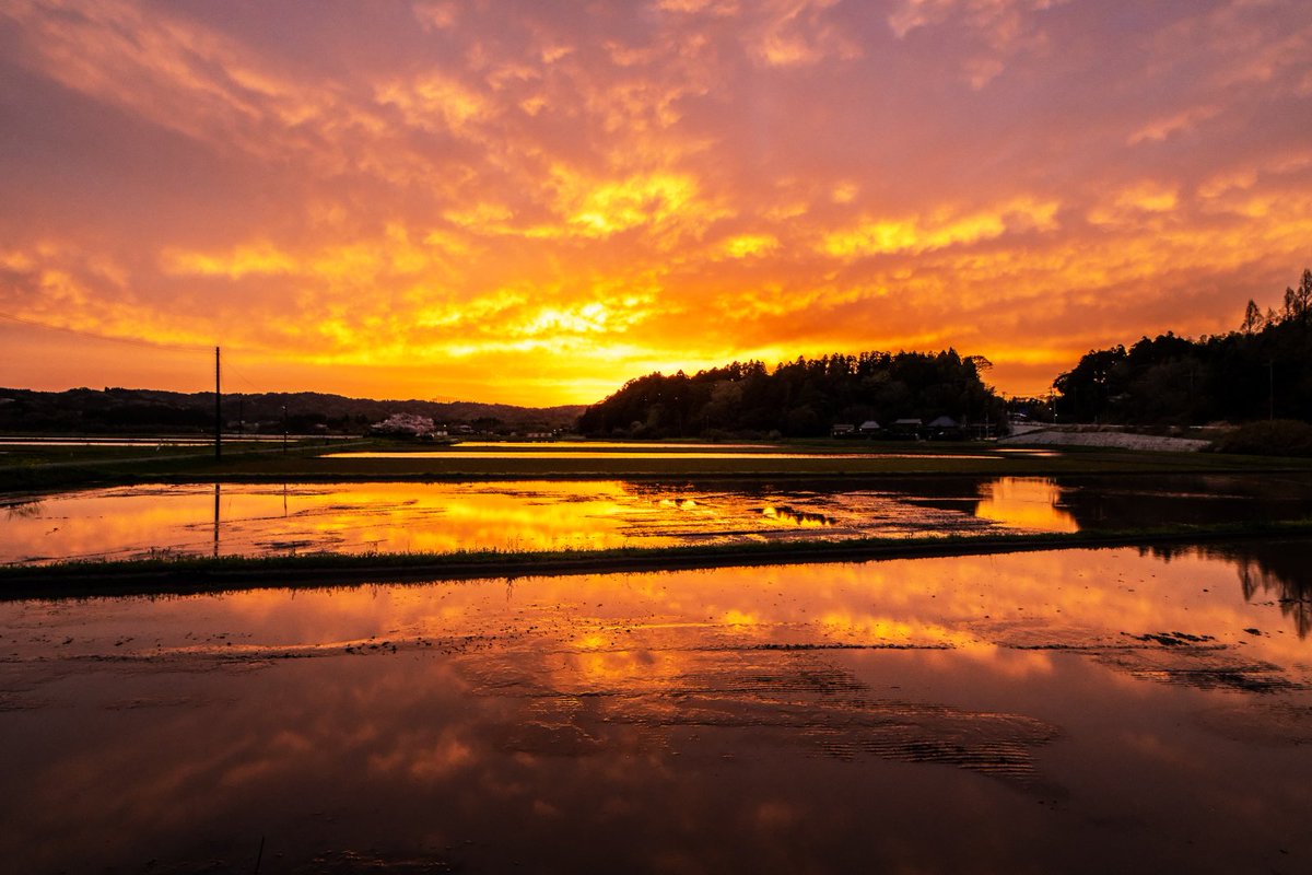 Hiroyuki/Hirano 平野 博之 tweet media