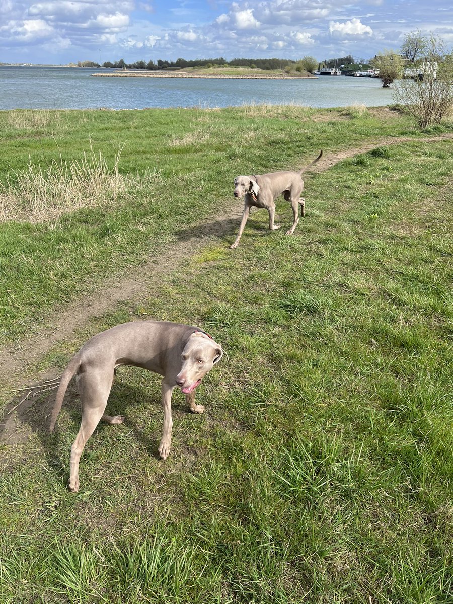 Sander Kerkhof tweet media