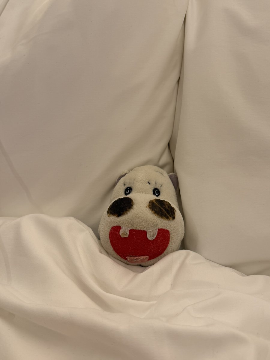 りょうへい tweet media