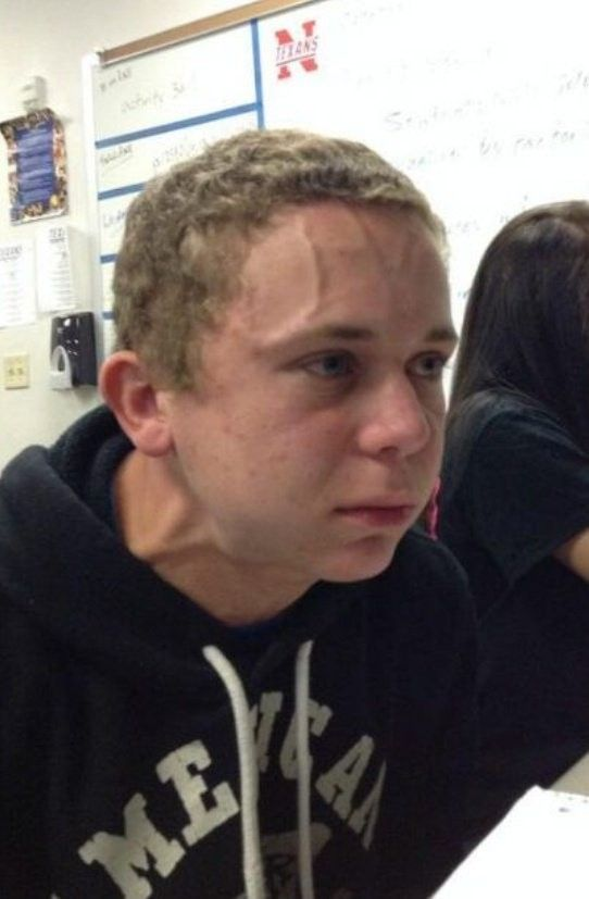 Людвиг Аристархович tweet media