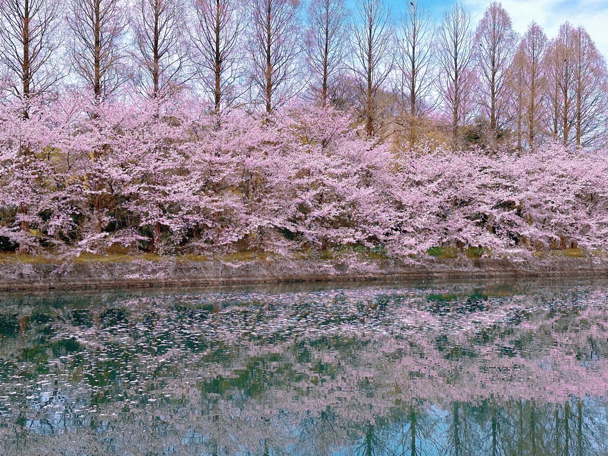 あんてぃか tweet media