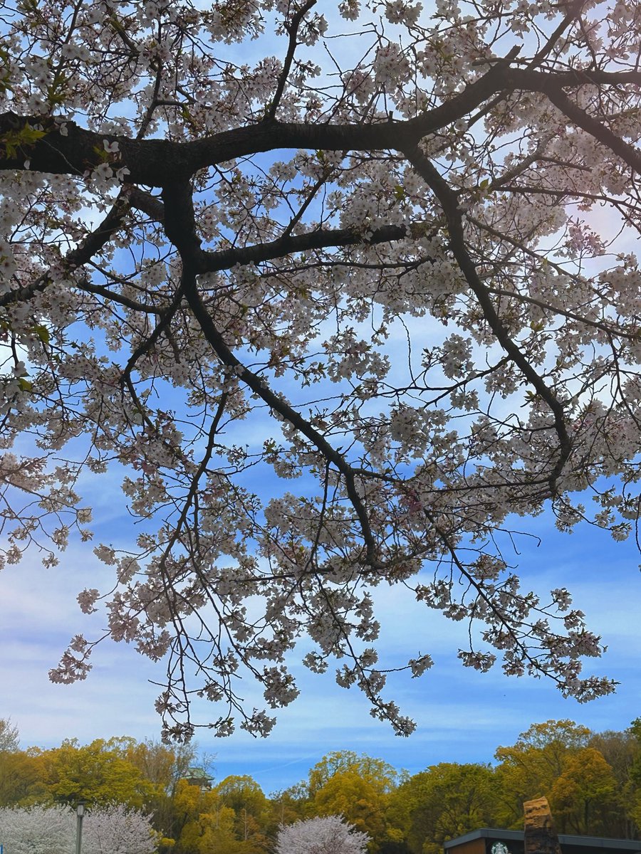 あんてぃか tweet media