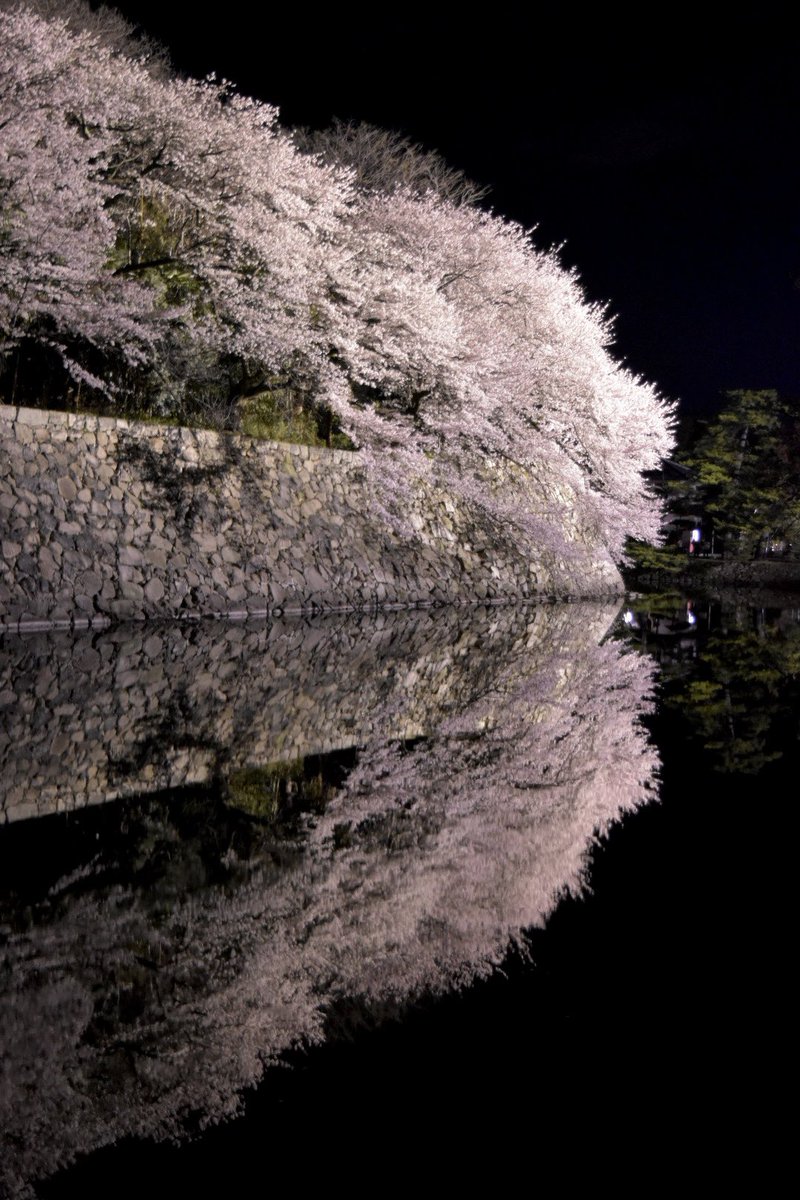 猫尾 かおり tweet media