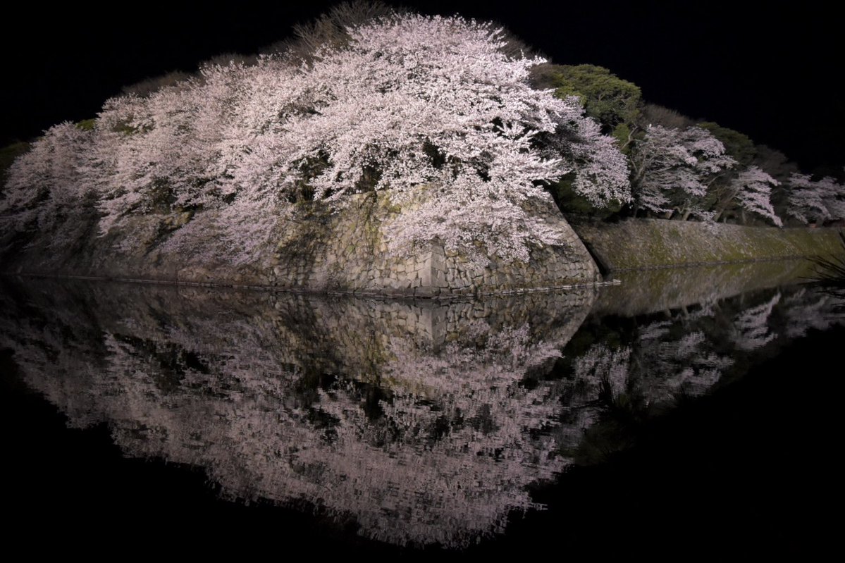 猫尾 かおり tweet media