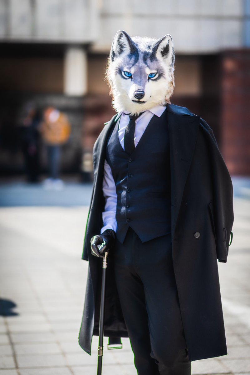 셰인 Shane 🔜 FURSTCLASS tweet media