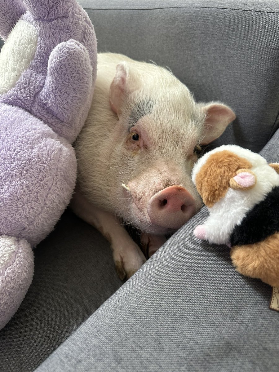 藤本藍（フジモトアイ） tweet media