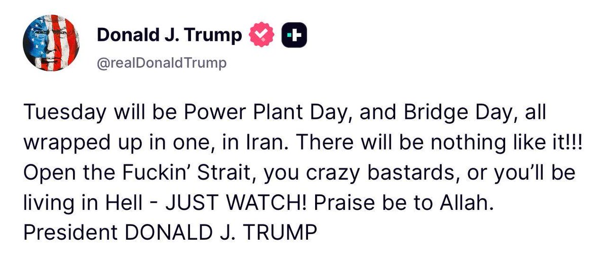 Mitra Hejazipour tweet media