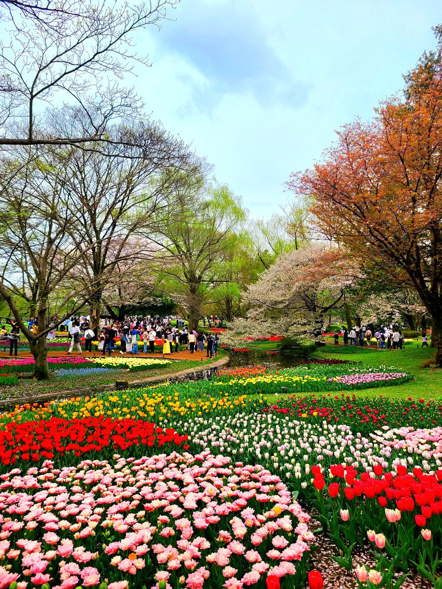 YUMIKO💚ty tweet media