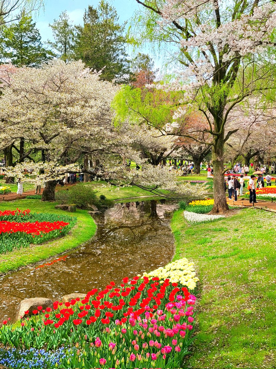 YUMIKO💚ty tweet media