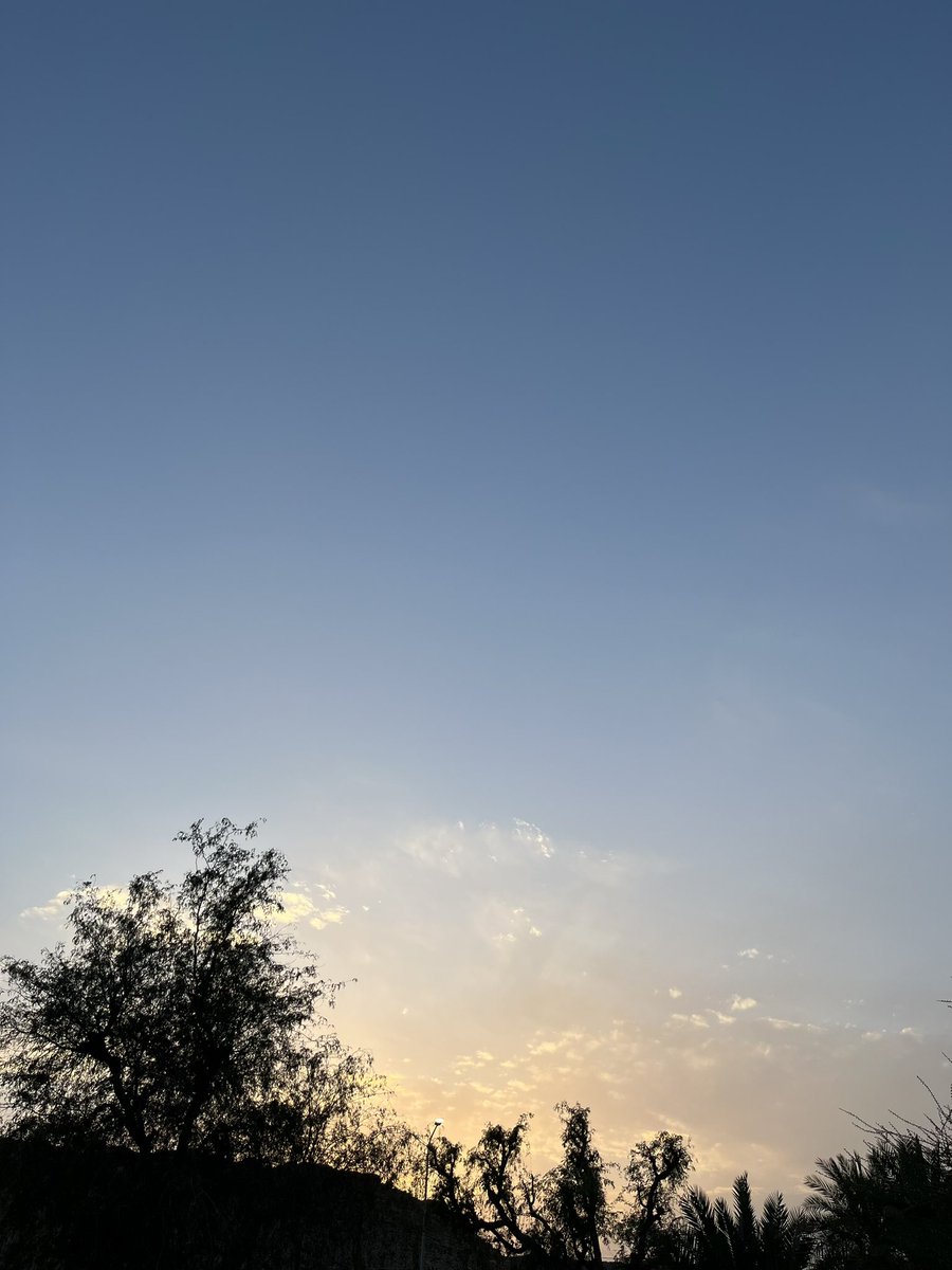 𓆩🫀𓆪 tweet media