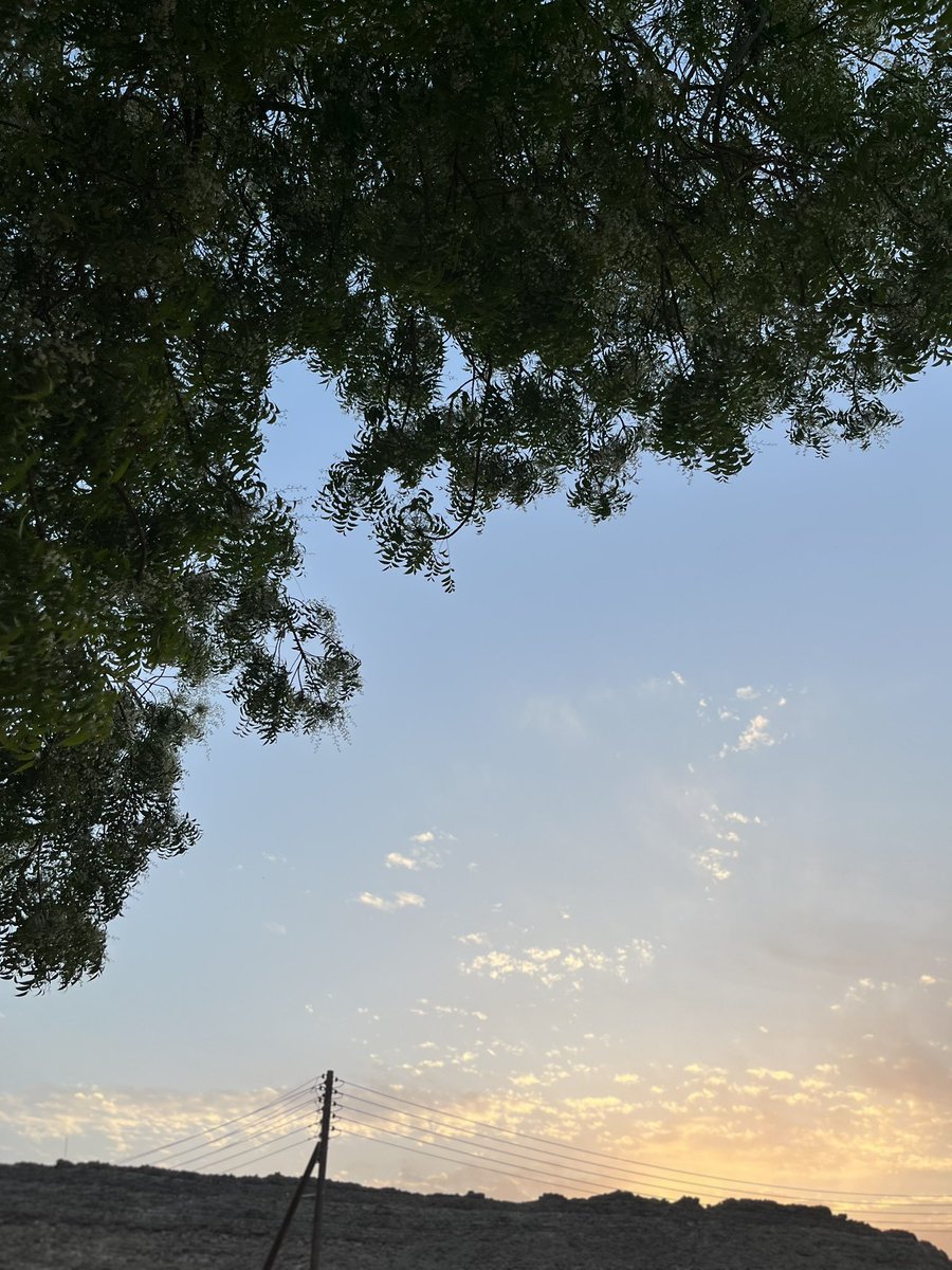 𓆩🫀𓆪 tweet media