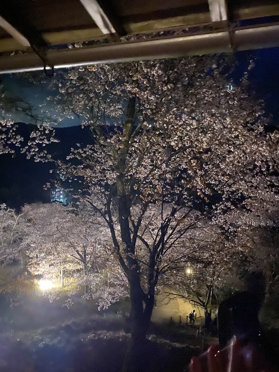 あゆむω tweet media