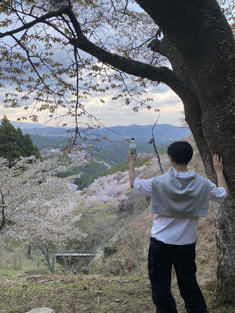 あゆむω tweet media