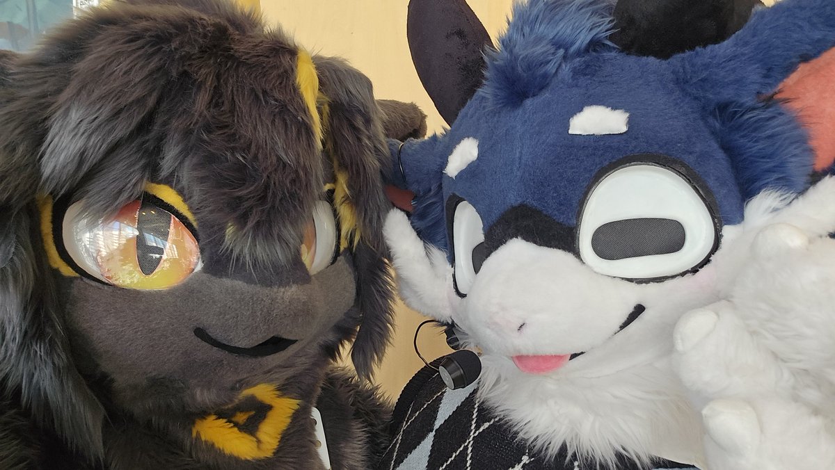 월환🌕 ➡️FurstClass tweet media