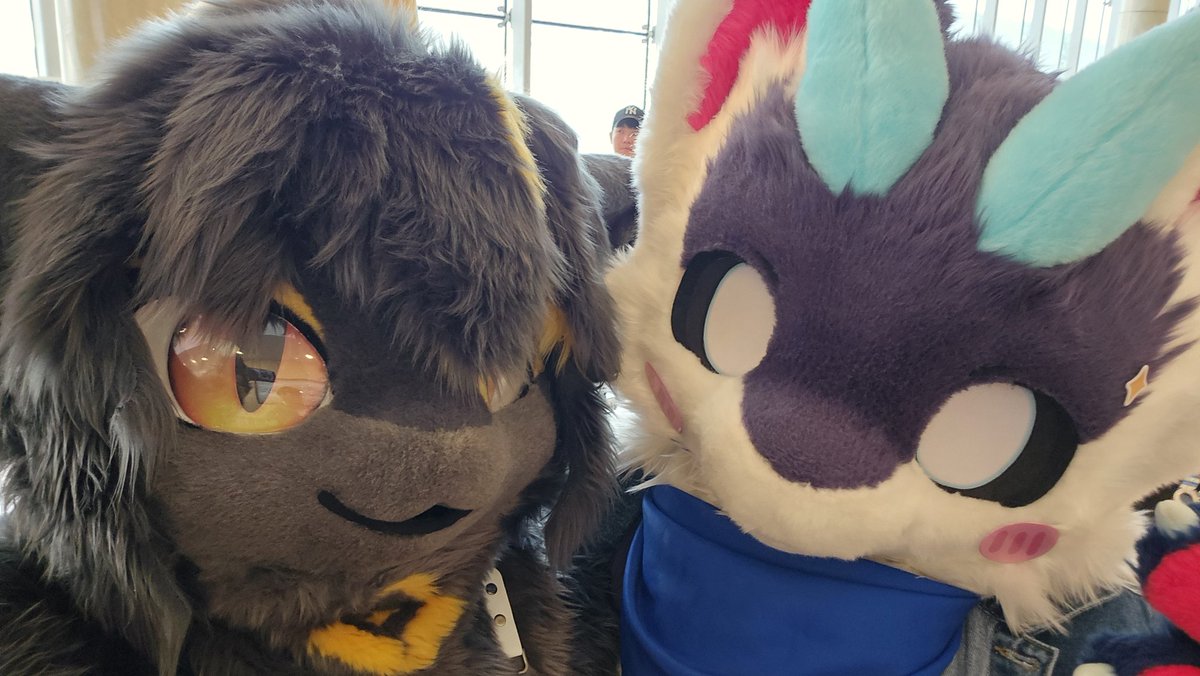 월환🌕 ➡️FurstClass tweet media