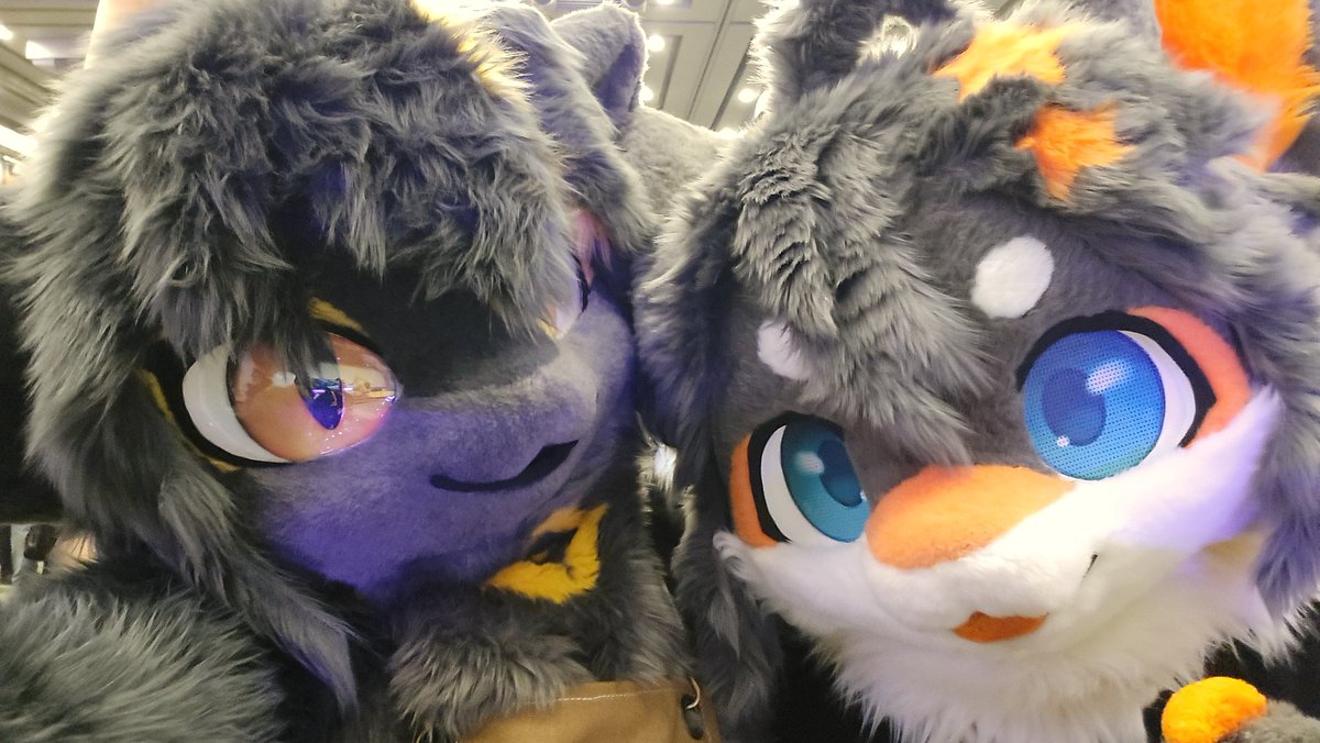 월환🌕 ➡️FurstClass tweet media