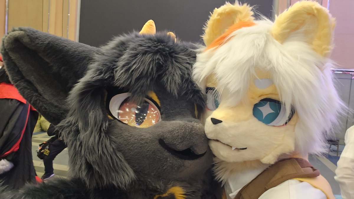 월환🌕 ➡️FurstClass tweet media