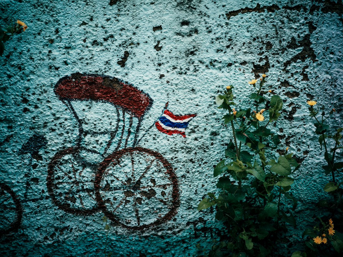 candy1962 tweet media