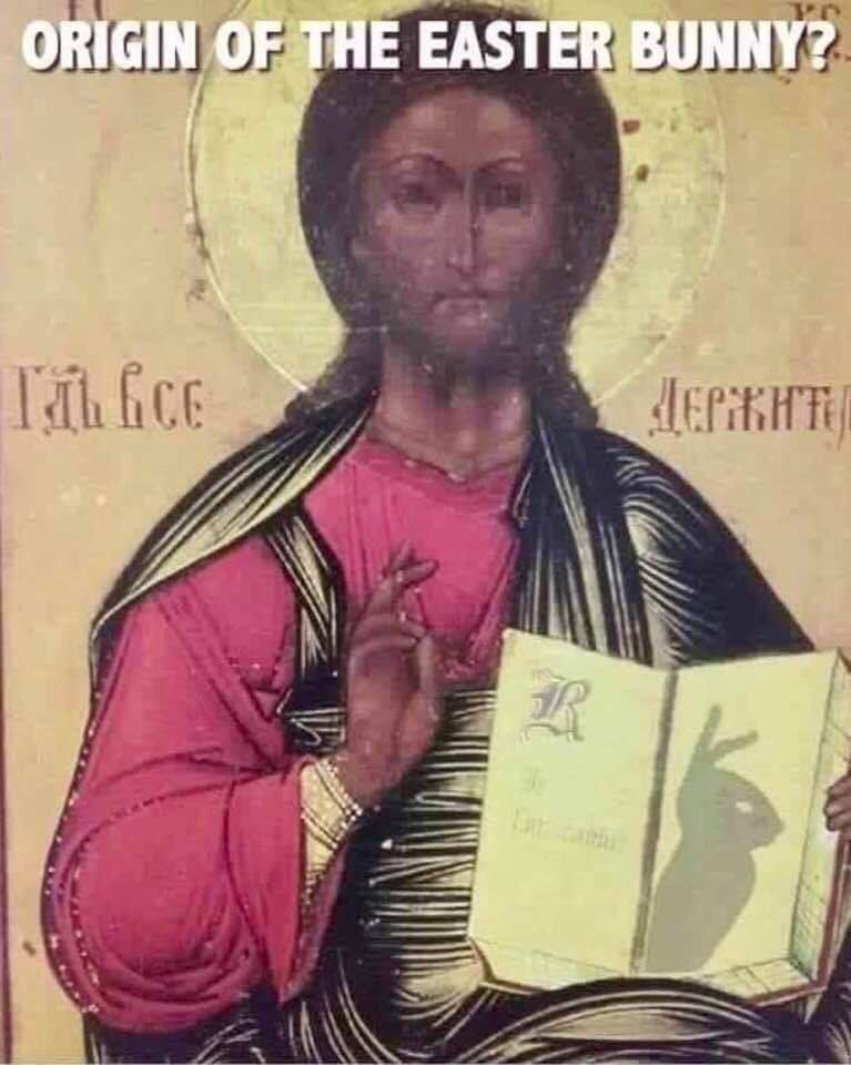 Doge Norway tweet media