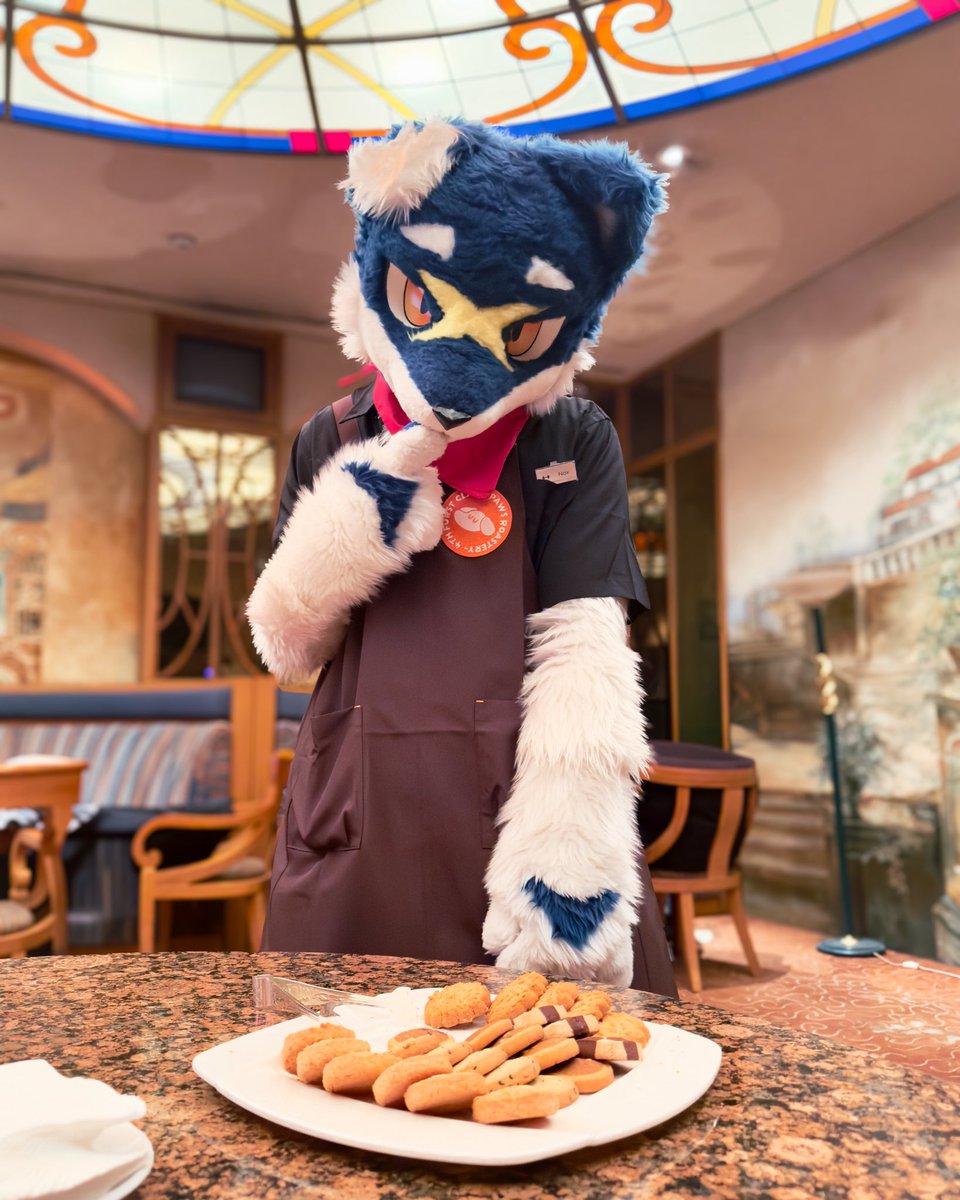 NOËL🔜FURST CLASS tweet media