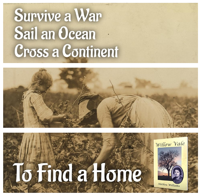 ActuallyAlethea's tweet image. A moving read of the pains of immigrant life and the woodchipper that life can be.
#BookReview #histfic #KU 
Willow Vale
amazon.com/Willow-Vale-Al…