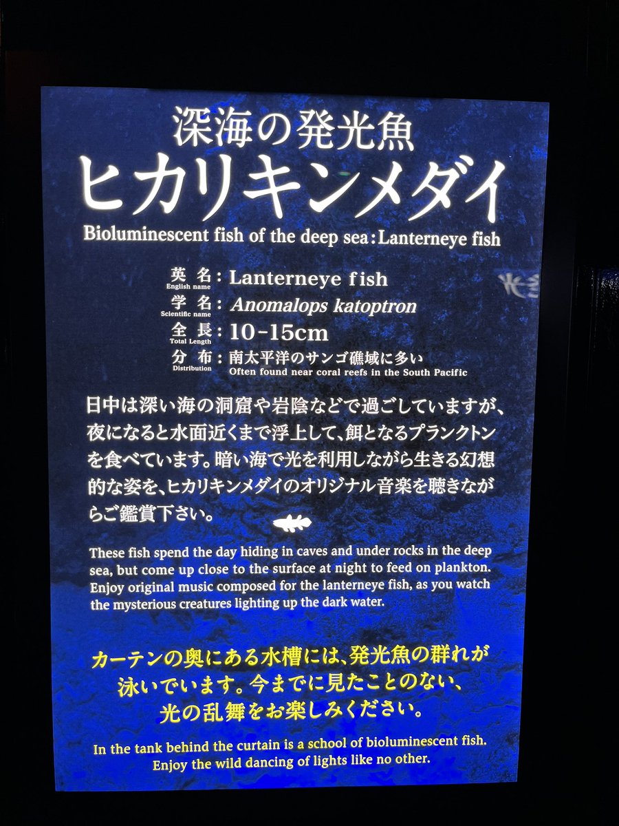 MMegem's tweet photo. @akim_panda 雑音でハマーの音楽わかりづらいですが、プラネタリウムみたいで綺麗でした✨ https://t.co/GYJfk1zr2K