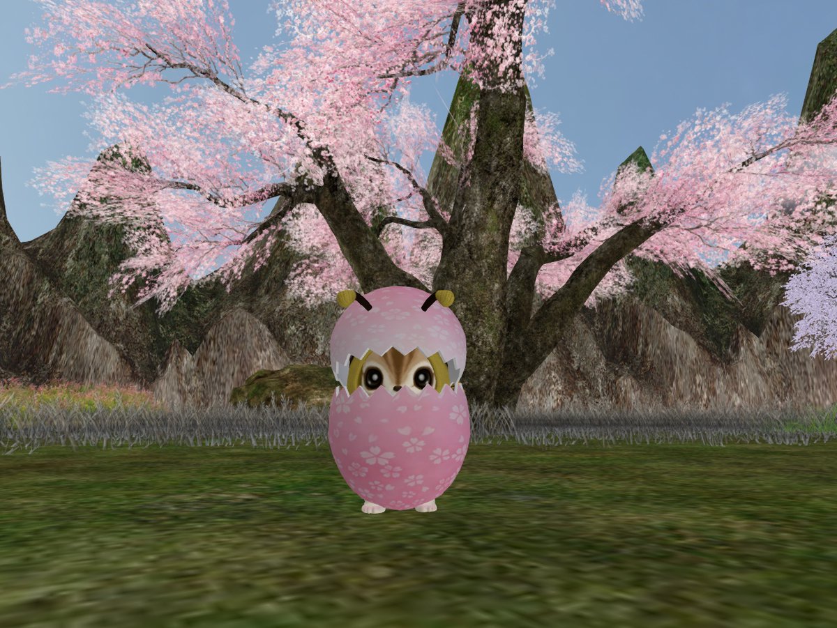 りすぽん＠Risusipo Jun＠どんぐり谷＠華樂京SIM tweet media