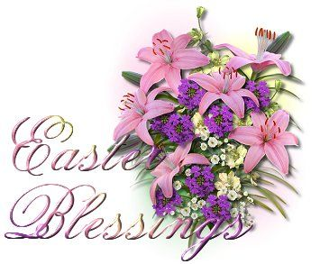 sally solihull tweet media