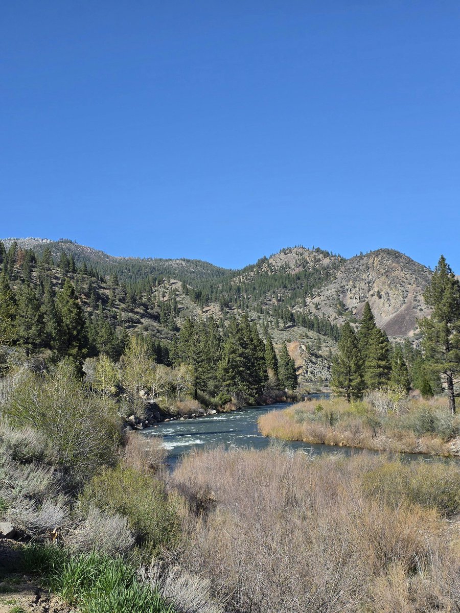 MESSAI_Bill tweet media