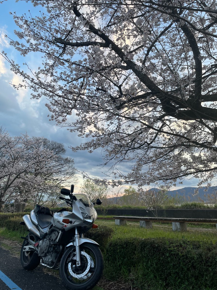 masas circle （京都在住　DTP・デザイナー） tweet media