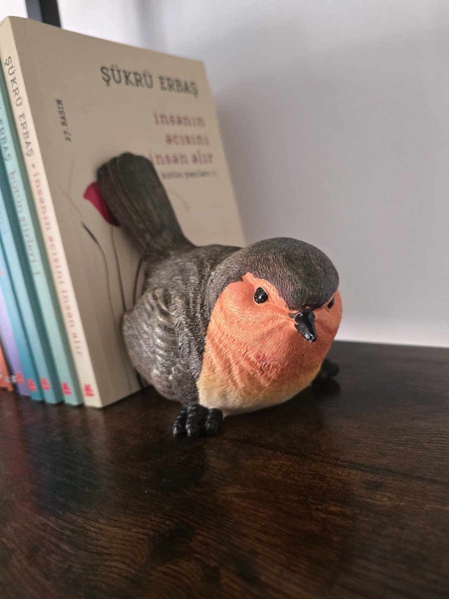 Mᡣ𐭩₊˚.⋆⁺₊ tweet media