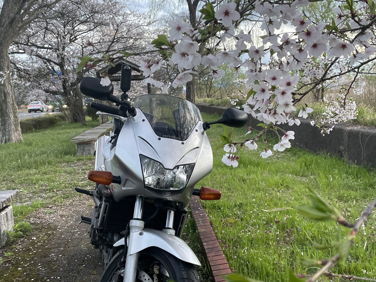 masas circle （京都在住　DTP・デザイナー） tweet media