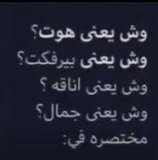 ʜᴀᴍᴢᴀ sᴀʟᴀᴍ tweet media
