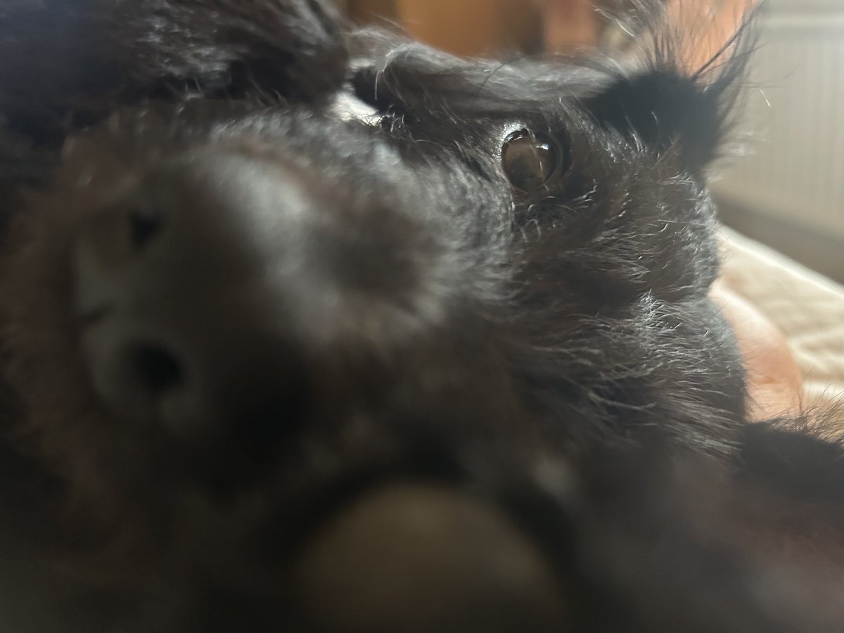 Harry 🇬🇧 tweet media