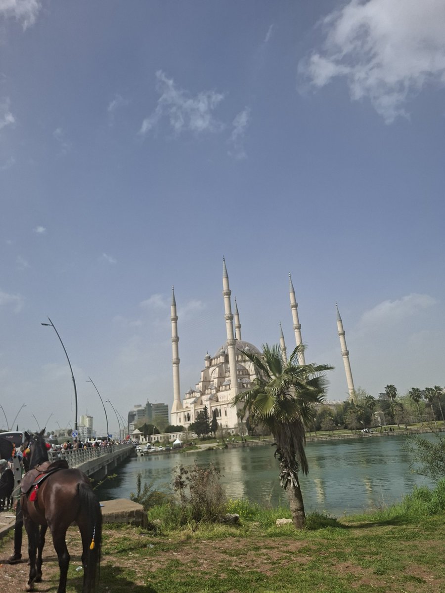 (At)ana köprübaşı