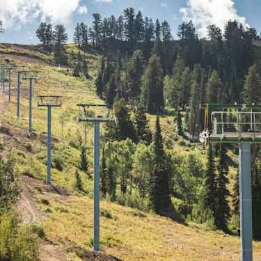 Rai Mamezuku tweet media