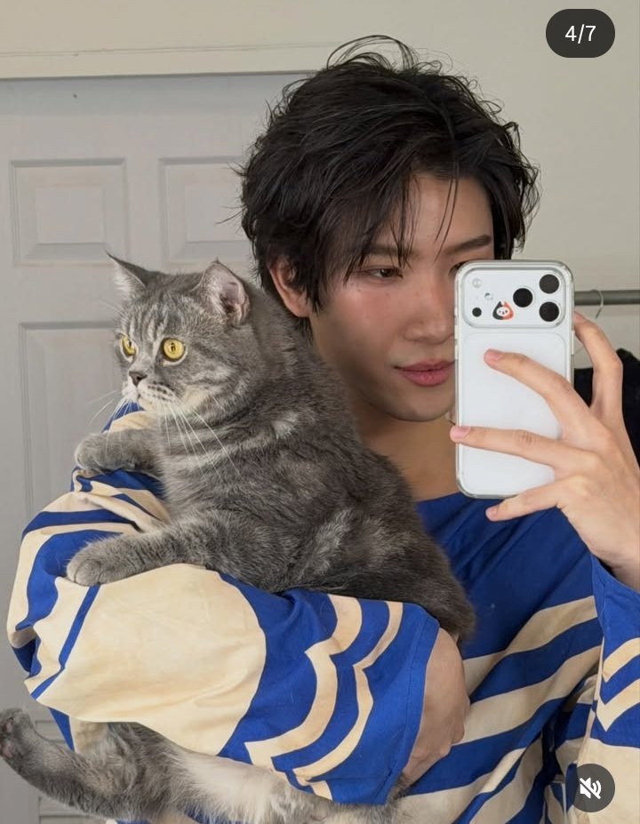 Tae Meow ✨ tweet media