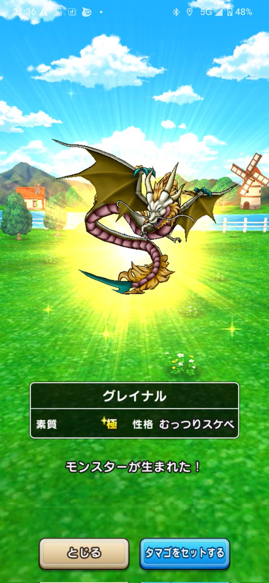 大学生DQウォーカーはるき tweet media