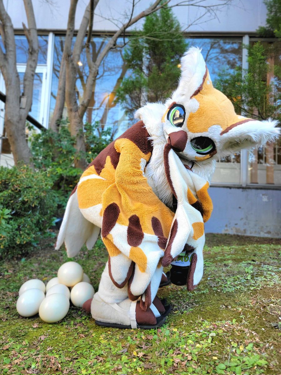 Happy Easter everyone~ 🦉🥚🥚🥚

#JMoF2026 
📸 @ Kokko_kokko919