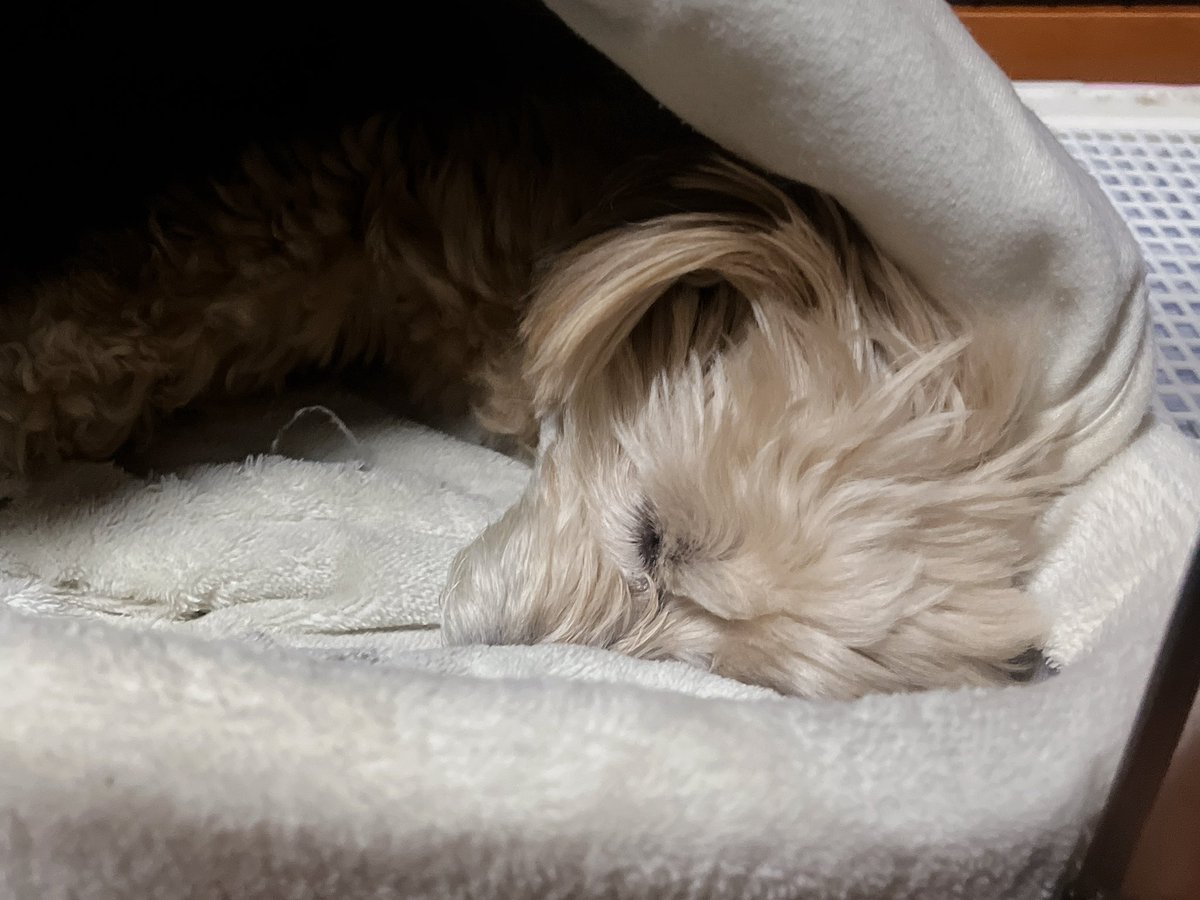 𝙉𝘼𝙍𝙐 ¨̮⃝ tweet media