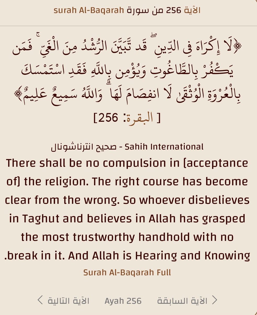 ساشـ ْSASH tweet media