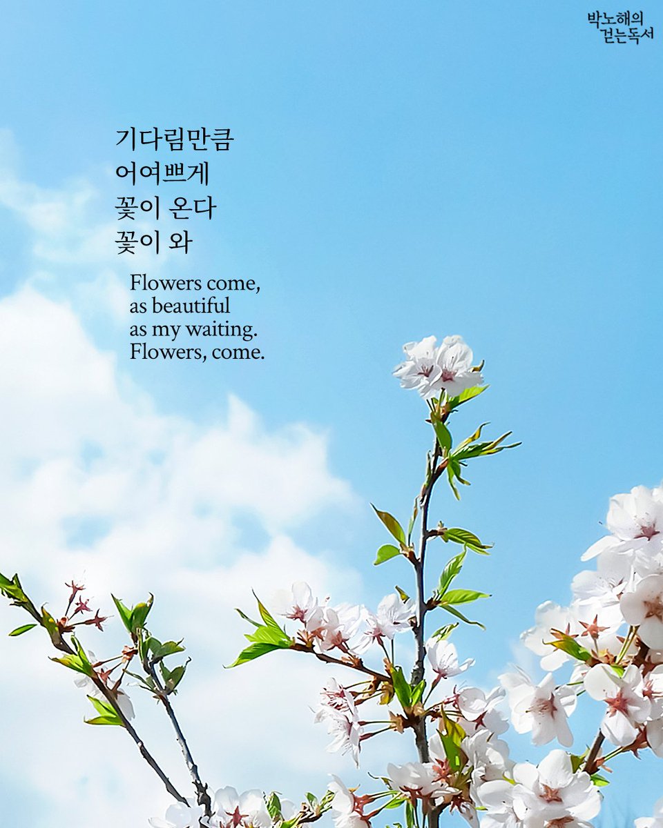 suerteyj's tweet photo. @DanCoinInvestor 아무런 지식 없이 21년 코인장에 뛰어들어 비트를 제외한 어마한 알트들을 손절했던 기억이 나네요ㅠ 그때도 과감히 손절하라던 X의 어느조언자 덕분에 손절 할 수 있었고 그다음 댄님의 글과 영상을 통해 많이 공감하고 배웠습니다. 그 덕에 비트와 이더가 댄님과 비슷하네요. 항상 감사합니다~^^ https://t.co/r2tO00UjNa