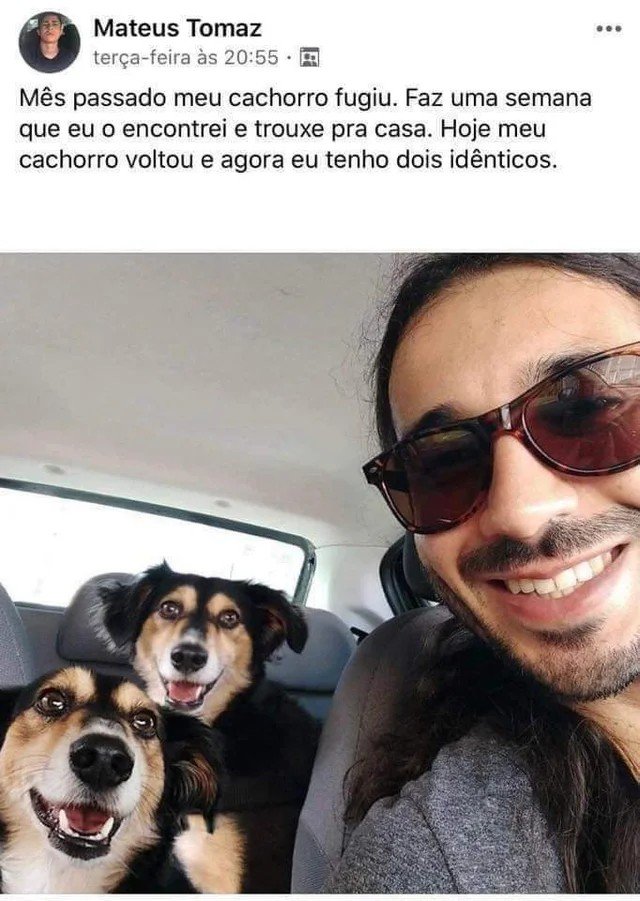 Bichinhos fofinhos pra quem ta cansado tweet media