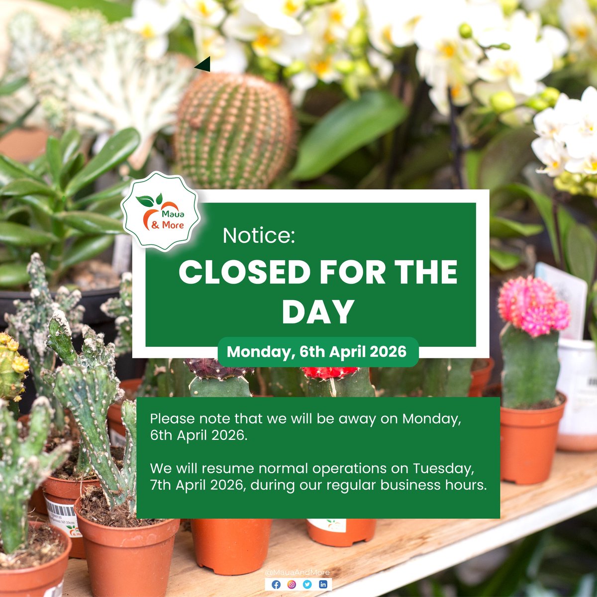 Maua & More tweet media