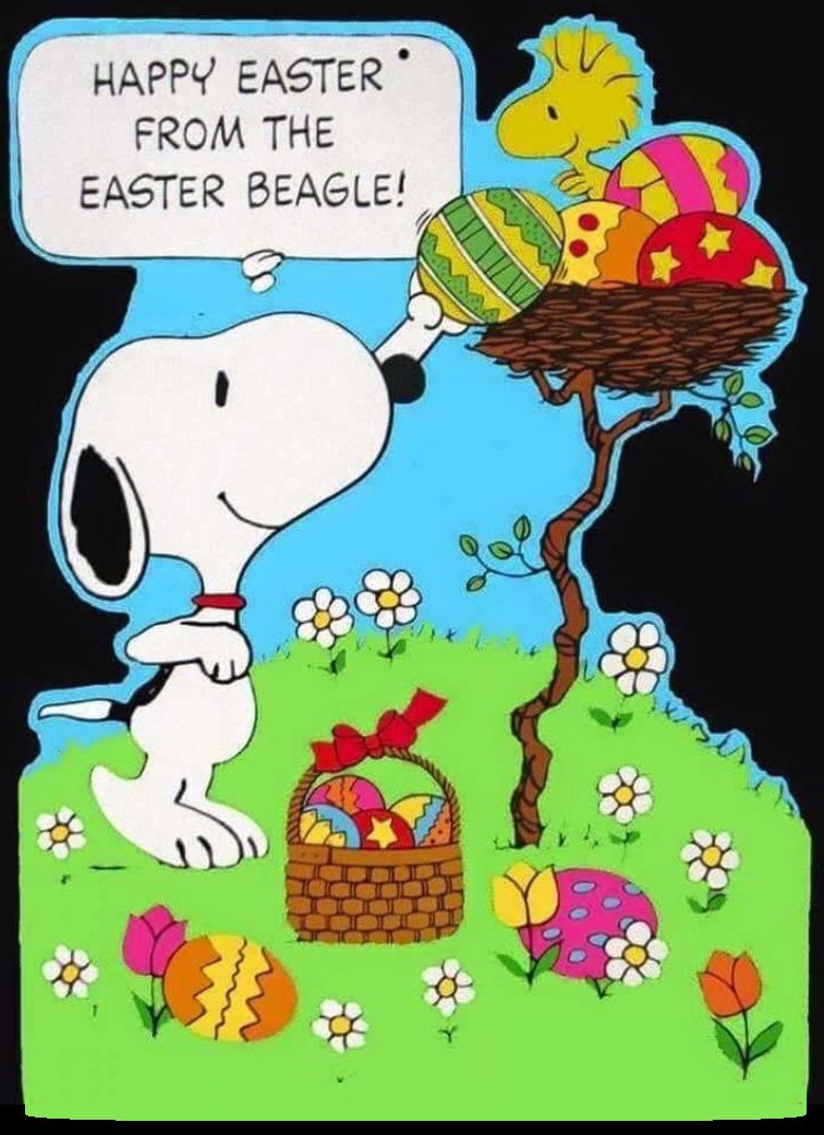MWBeagleRescue's tweet photo. Wishing all a moment of peace and joy (like a #beagle getting their morning treat) this Easter. Enjoy today's puzzle. https://t.co/3lbsNZ4DxG #AdoptDontShop #BeaglesOfX #DogsOfX #DogsOfTwitter @beaglefacts #MWBalumni https://t.co/KfwmqHbqRU