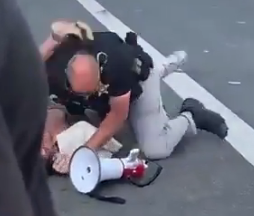 Carl Barks tweet media