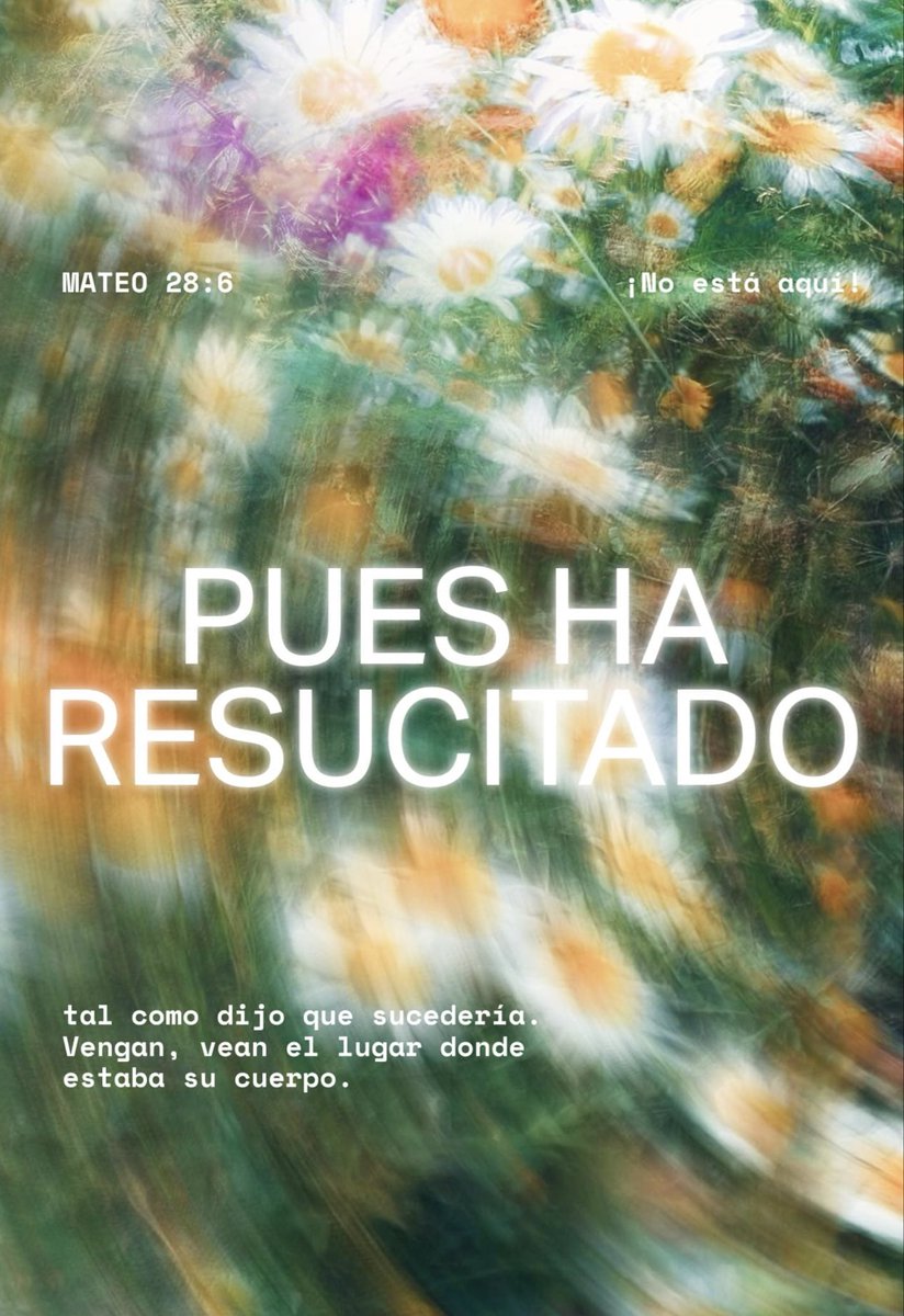 Gerardo Soto tweet media