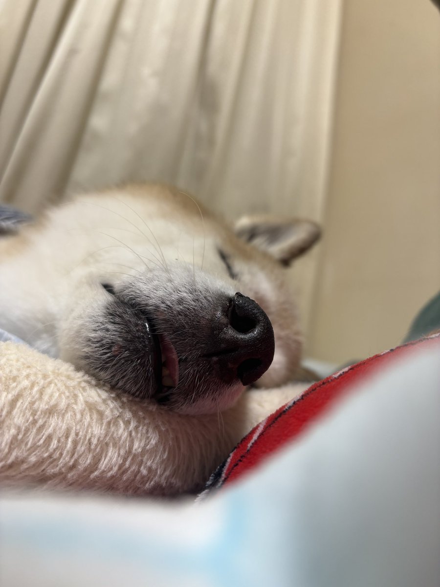 taka3©︎ tweet media