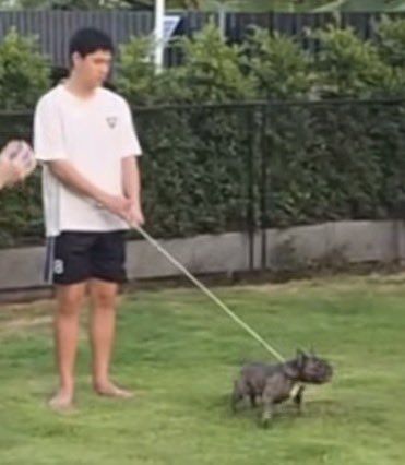 The Shining Boys⸜(๑⃙⃘・֊・๑⃙⃘)⸝⋆︎* tweet media