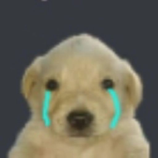 Suuu….. tweet media